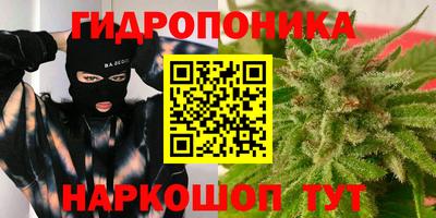 каннабис Будённовск