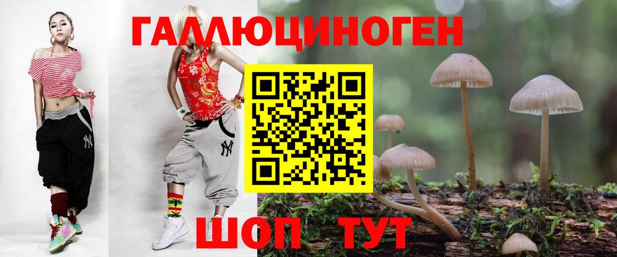 Галлюциногенные грибы Psilocybine cubensis Лесной